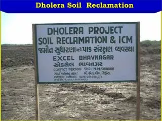 Dholera Soil Reclamation