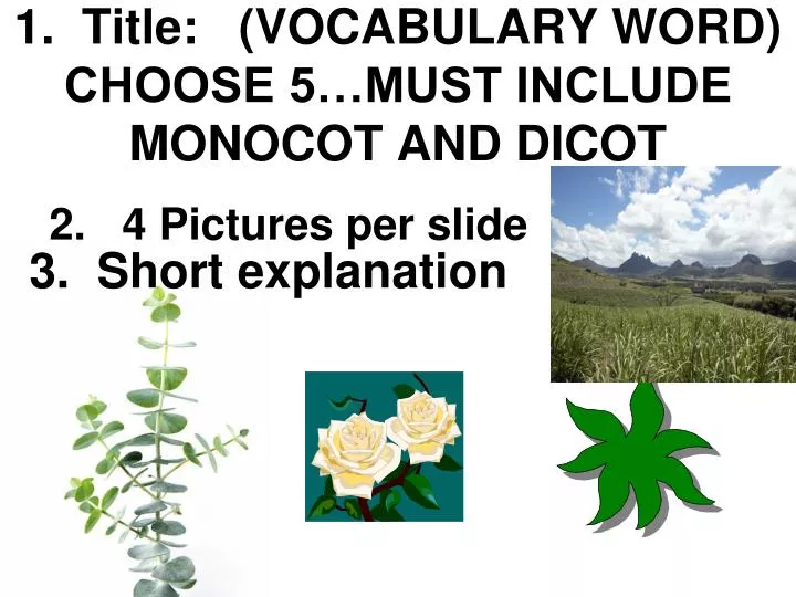 1 title vocabulary word choose 5 must include monocot and dicot
