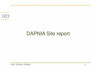 DAPNIA Site report