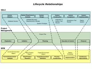 Lifecycle Relationships