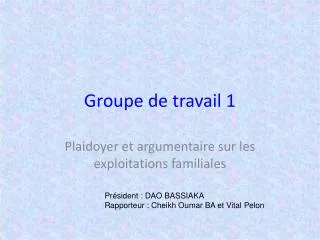 groupe de travail 1