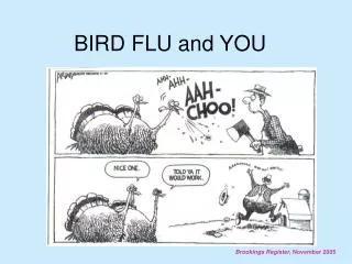 BIRD FLU and YOU