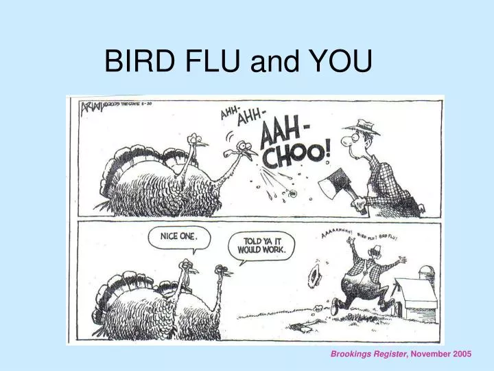 bird flu and you