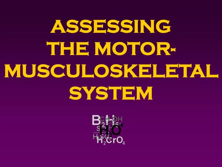 assessing the motor musculoskeletal system