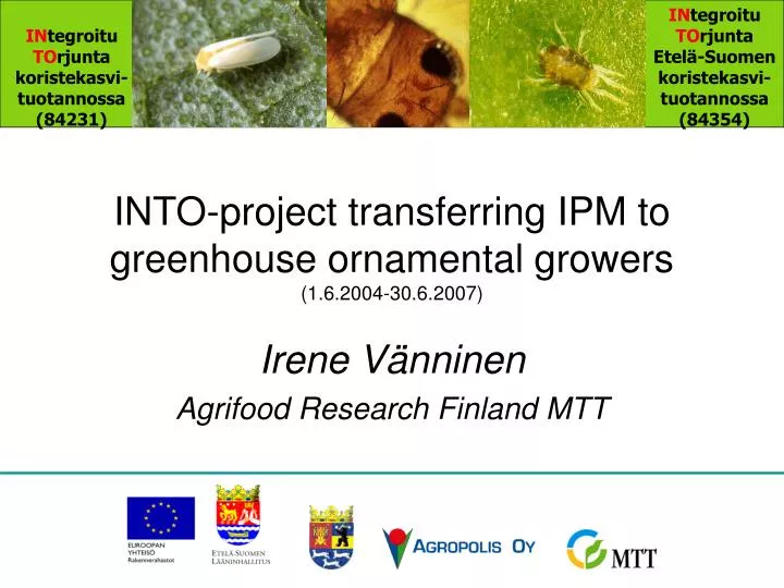 into project transferring ipm to greenhouse ornamental growers 1 6 2004 30 6 2007