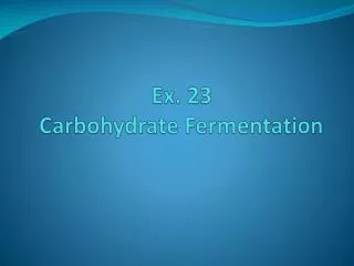 Ex. 23 Carbohydrate Fermentation