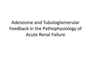 Adenosine and Tubuloglomerular Feedback in the Pathophysiology of Acute Renal Failure