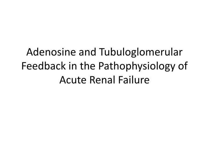 adenosine and tubuloglomerular feedback in the pathophysiology of acute renal failure