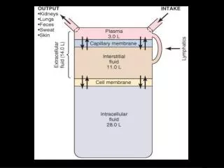 Calculations of Fluid Shifts and Osmolarities After Infusion of Hypertonic Saline