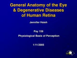 General Anatomy of the Eye &amp; Degenerative Diseases of Human Retina