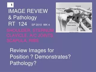 IMAGE REVIEW &amp; Pathology RT 124 SP 2010 WK 4