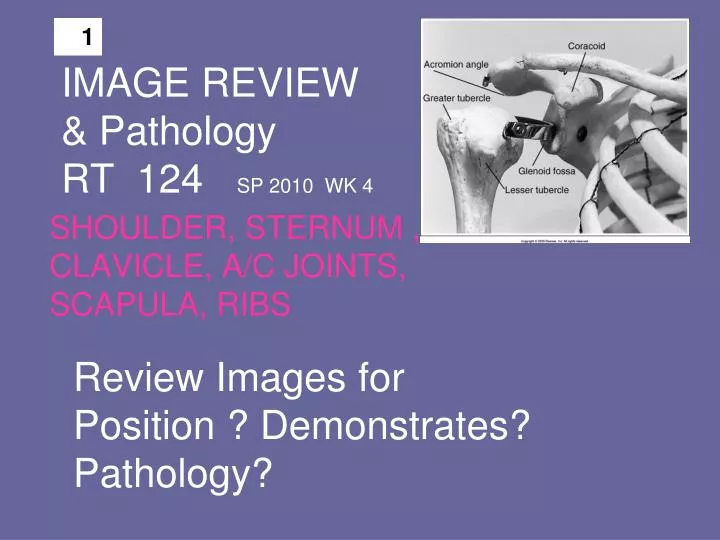 image review pathology rt 124 sp 2010 wk 4