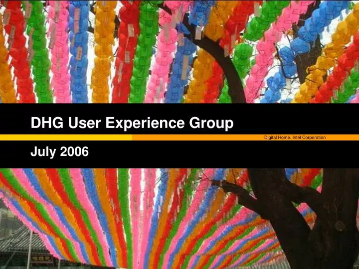 dhg user experience group july 2006