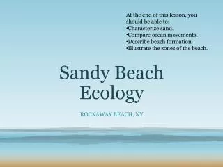Sandy Beach Ecology