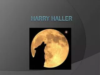 harry haller