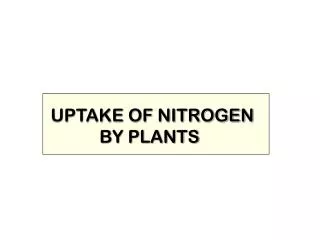 UPTAKE OF NITROGEN BY PLANTS