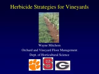 Herbicide Strategies for Vineyards