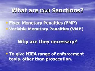 What are Civil Sanctions?