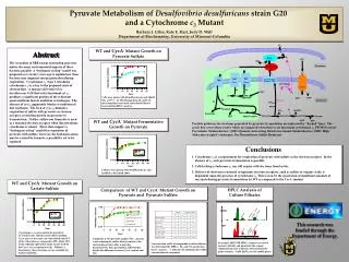 Pyruvate Metabolism of De s ulfovibrio desulfuricans strain G20