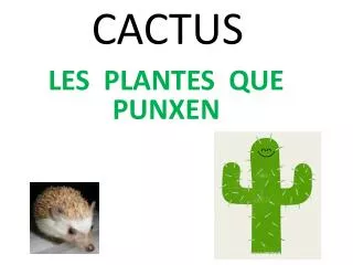 cactus