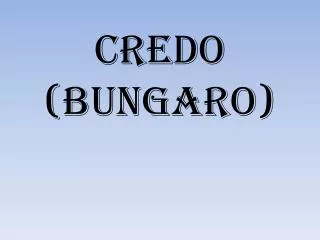 credo bungaro