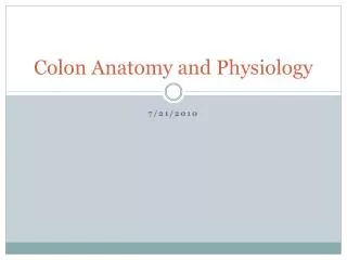 Colon Anatomy and Physiology