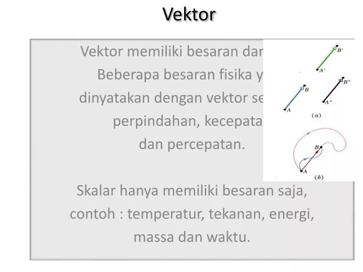 vektor