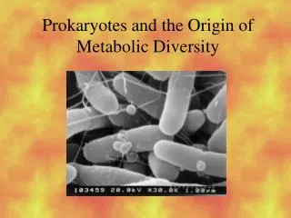 Prokaryotes and the Origin of Metabolic Diversity