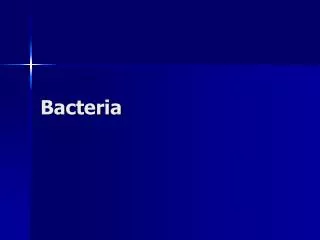 bacteria