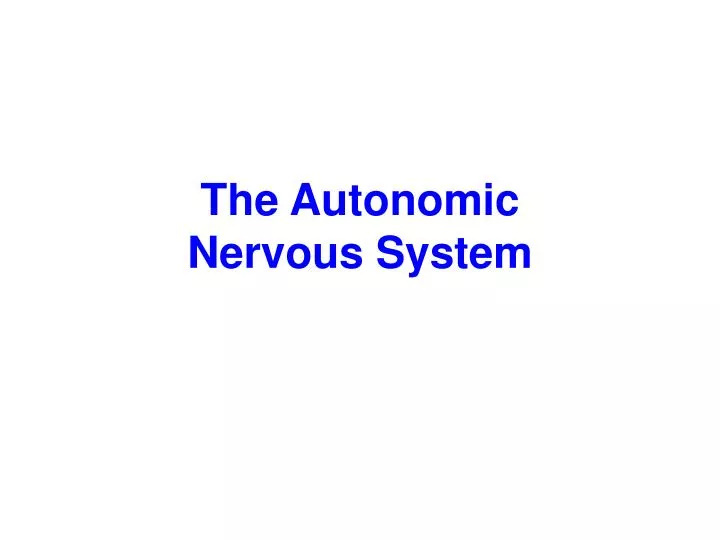 the autonomic nervous system