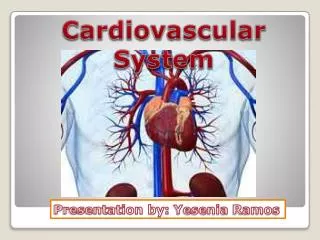 Cardiovascular System