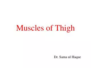 Muscles of Thigh