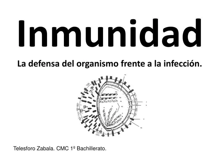 inmunidad la defensa del organismo frente a la infecci n