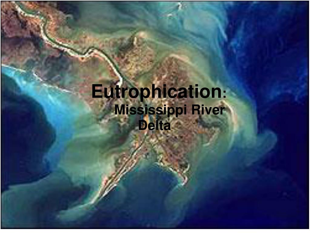PPT - Eutrophication PowerPoint Presentation, free download - ID:2971329