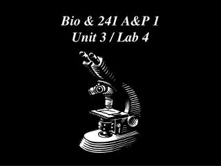 Bio &amp; 241 A&amp;P 1 Unit 3 / Lab 4