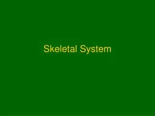 Skeletal System