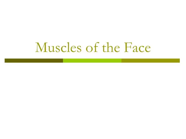 muscles of the face