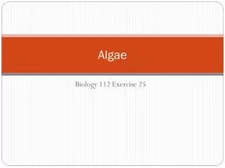 algae