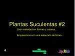Plantas Suculentas #2 - slide 1