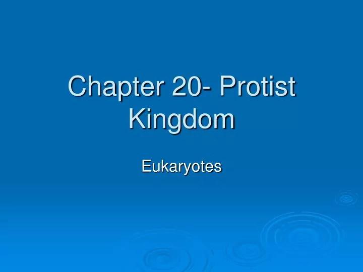 chapter 20 protist kingdom