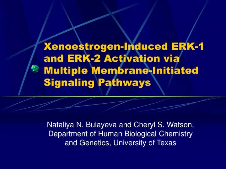 xenoestrogen induced erk 1 and erk 2 activation via multiple membrane initiated signaling pathways