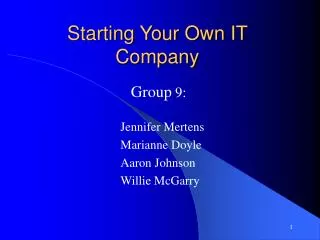Starting Your Own IT Company