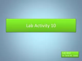 Lab Activity 10