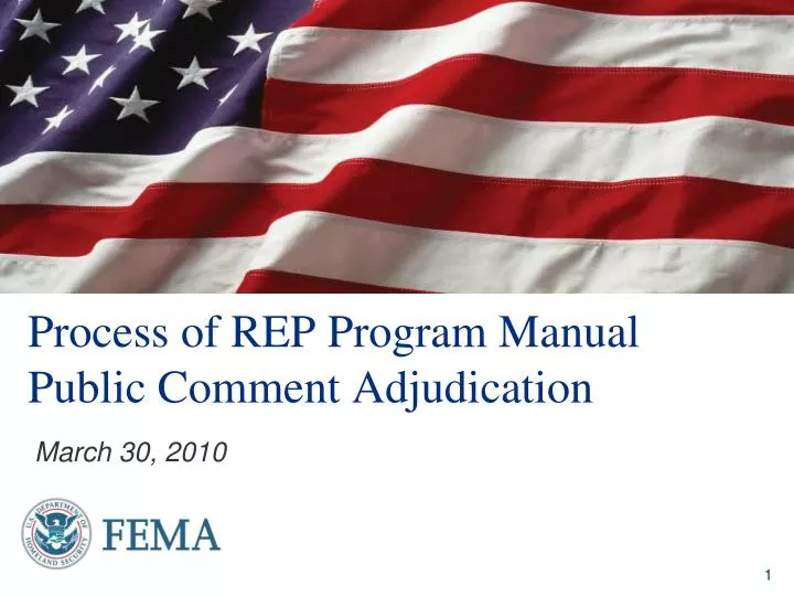 process of rep program manual public comment adjudication
