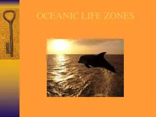 OCEANIC LIFE ZONES