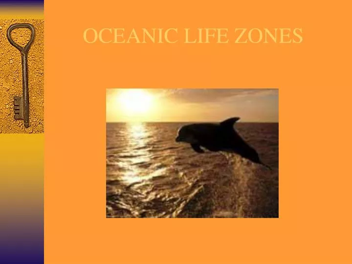 oceanic life zones