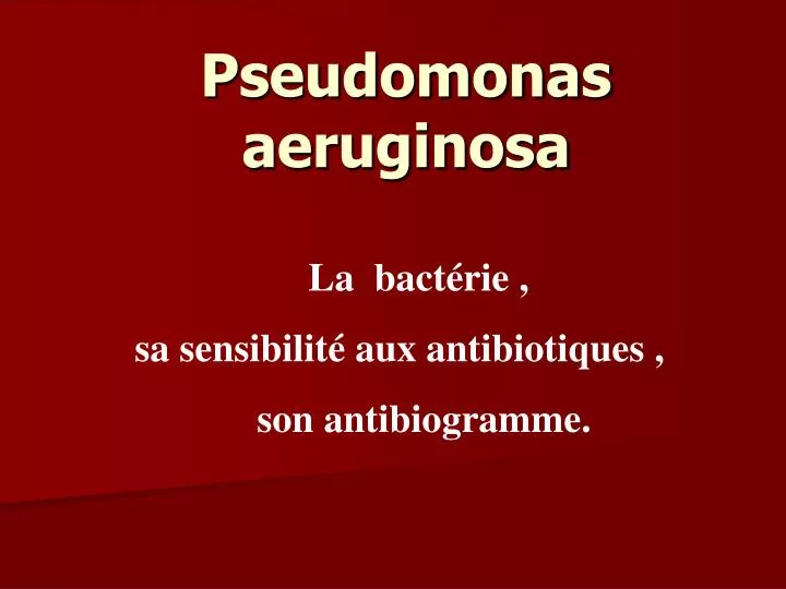 pseudomonas aeruginosa