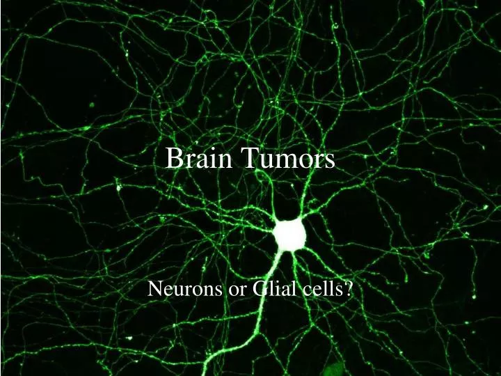 brain tumors