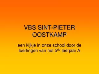 vbs sint pieter oostkamp