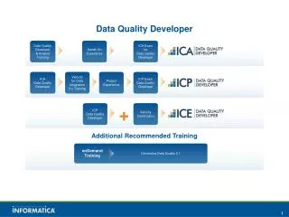 Data Quality Developer